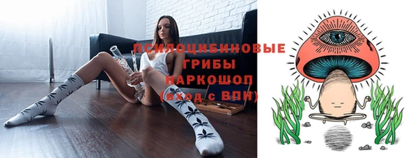 сатива Абдулино