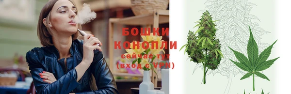 сатива Абдулино