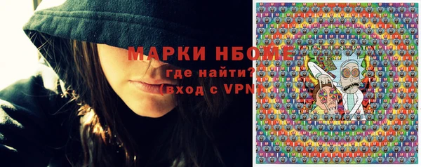 индика Абинск