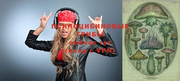 индика Абинск