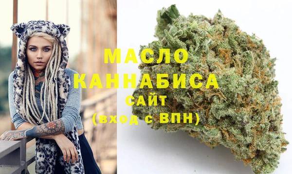 индика Абинск