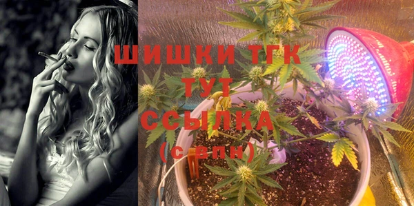 сатива Абдулино